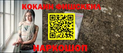 скорость Новозыбков