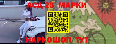 скорость Новозыбков