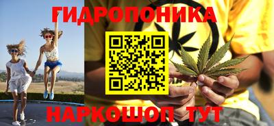 скорость Новозыбков