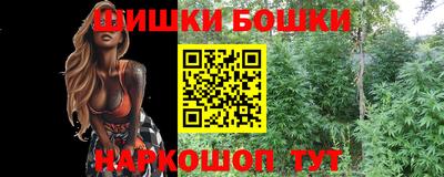 ECSTASY Новодвинск