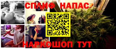 ECSTASY Новодвинск