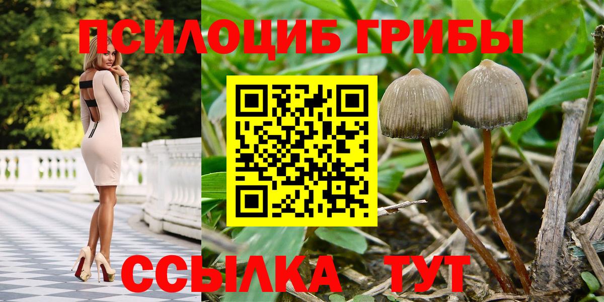 Псилоцибиновые грибы мицелий Троицк