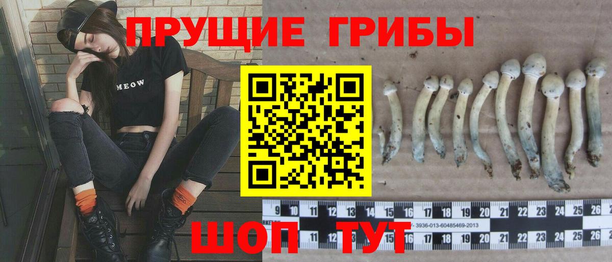 Галлюциногенные грибы MAGIC MUSHROOMS  Вход с VPN  Троицк 